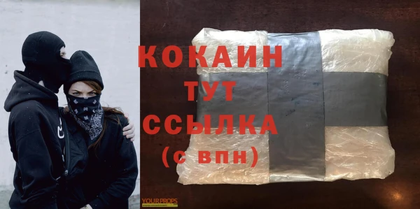 ПСИЛОЦИБИНОВЫЕ ГРИБЫ Вязьма