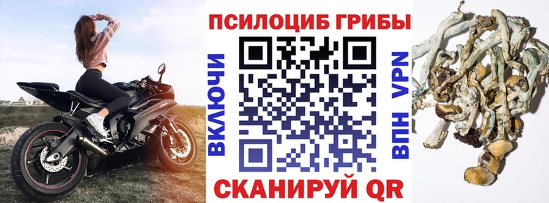 Галлюциногенные грибы прущие грибы  хочу наркоту  Электросталь 