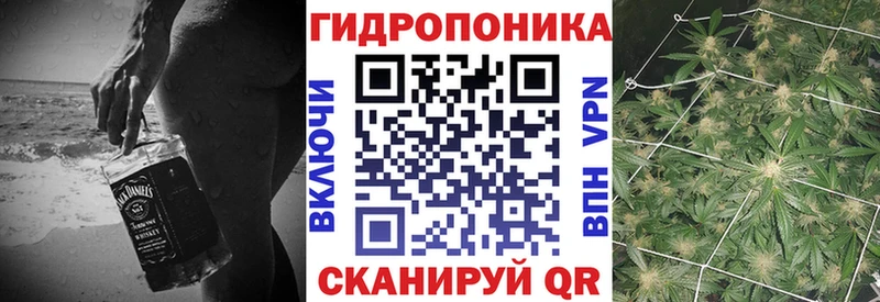 Марихуана план  Электросталь 